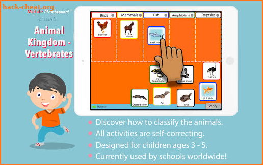 Animal Kingdom - Vertebrates - Montessori Zoology screenshot