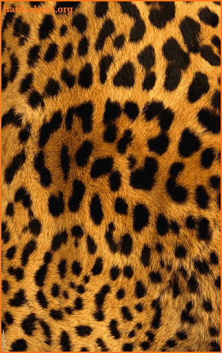 Animal Print Live Wallpaper HD screenshot