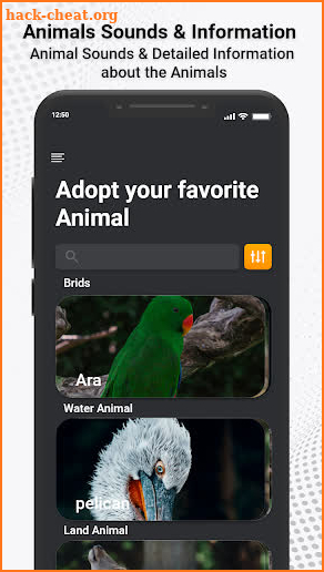 Animal Ringtones & Sounds screenshot