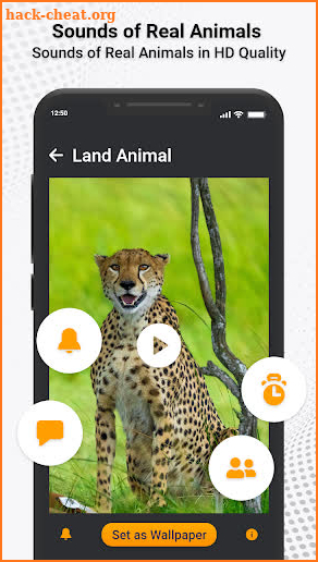 Animal Ringtones & Sounds screenshot