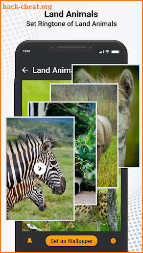 Animal Ringtones & Sounds screenshot