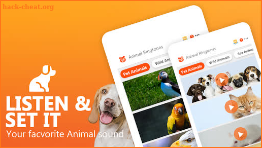 Animal Ringtones - Animal Wallpaper Bird Ringtones screenshot