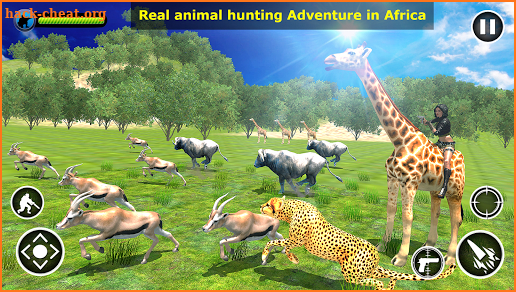 Animal Safari Hunter screenshot