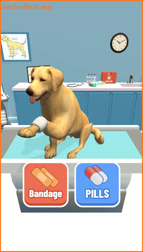 Animal Shelter 3D screenshot