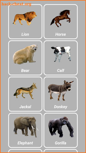 Animal Sounds screenshot