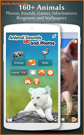 Animal Sounds screenshot