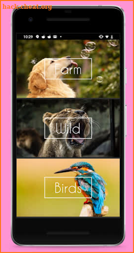 Animal Sounds screenshot