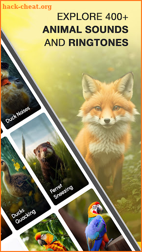 Animal Sounds and Ringtones screenshot