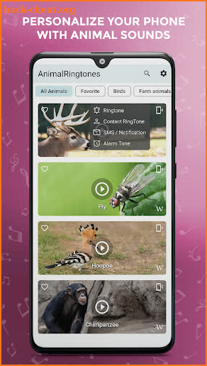 Animal Sounds and Ringtones screenshot