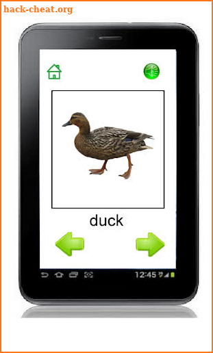 Animal Sounds for Kids screenshot