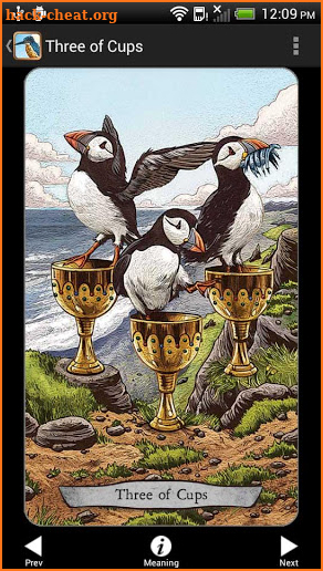 Animal Totem Tarot screenshot