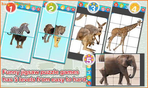 Animals Cards PRO screenshot