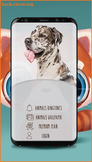 Animals Sound Ringtones For Free screenshot