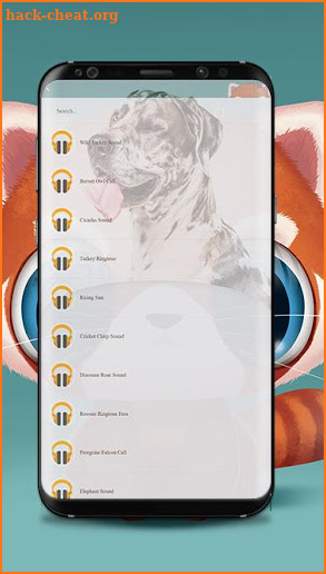 Animals Sound Ringtones For Free screenshot