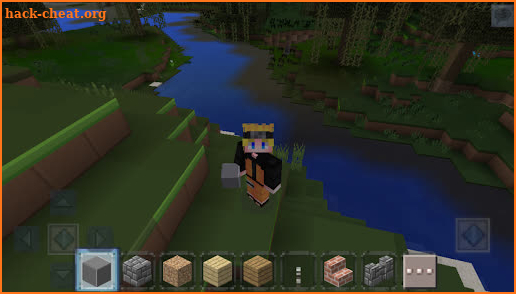 Anime World Block Mini Craft 3D screenshot