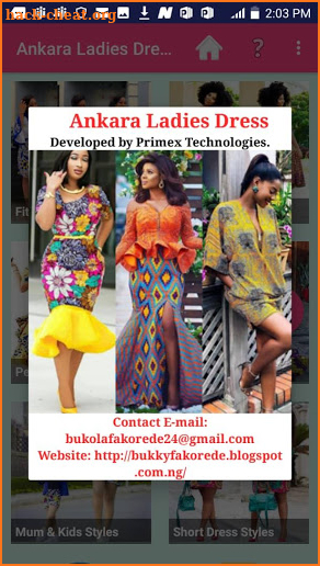 ANKARA LADIES DRESS STYLES 2019 screenshot