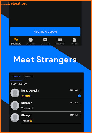 anonymous chatrandom, strangerchat:stranger surfer screenshot