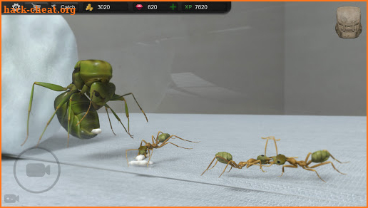 Ant Sim Tycoon screenshot