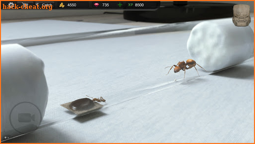 Ant Sim Tycoon screenshot