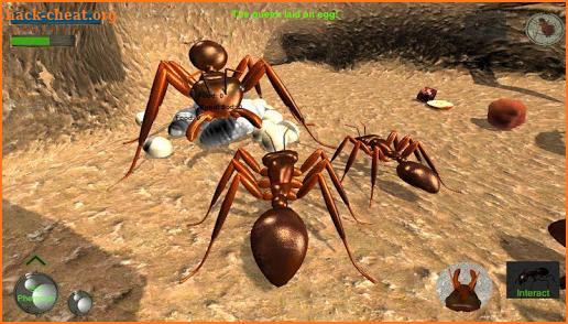 Ant Simulation 3D Full screenshot