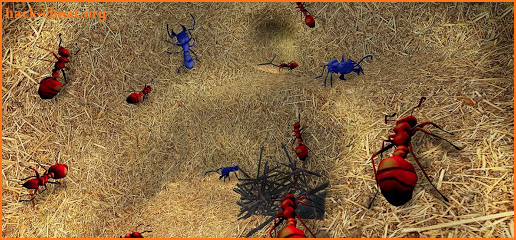 Ant world screenshot