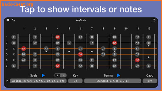 AnyScale - Tunings & Scales screenshot