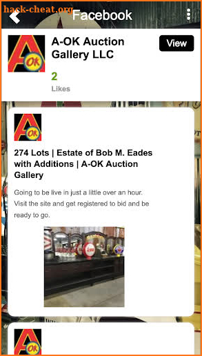 aokauctiongallery screenshot