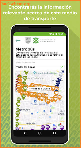 App CDMX screenshot