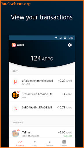 AppCoins BDS Wallet screenshot