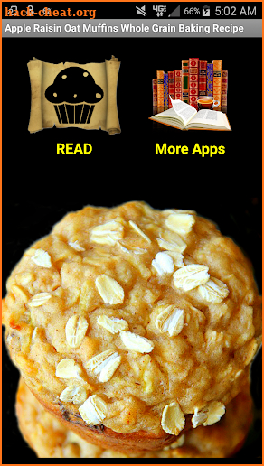 Apple Raisin Oat Muffins Whole Grain Baking Recipe screenshot