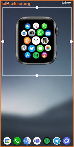 Apple Watch Widget screenshot