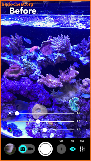 Aquarium Camera screenshot