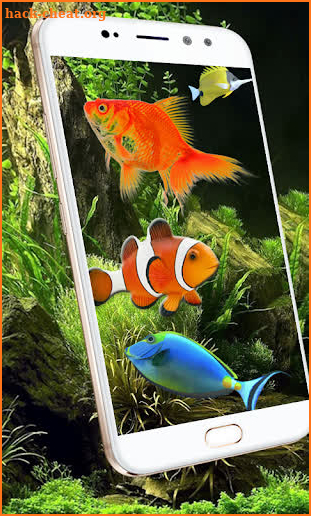 Aquarium Fish Live Wallpaper 2018: Koi Backgrounds screenshot