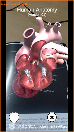 AR Anatomy screenshot