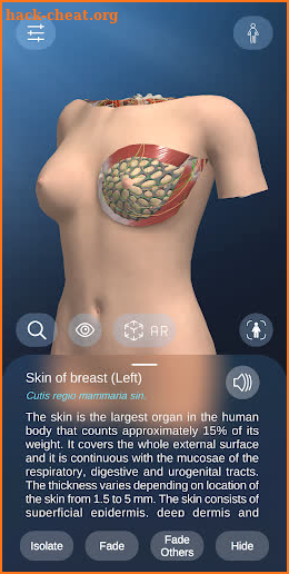 AR Anatomy screenshot