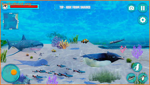 Arctic Penguin Bird Simulator screenshot