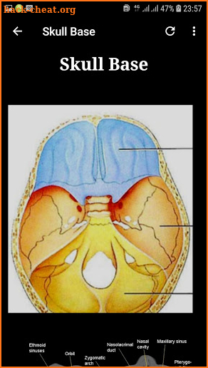 Atlas of CT Anatomy screenshot