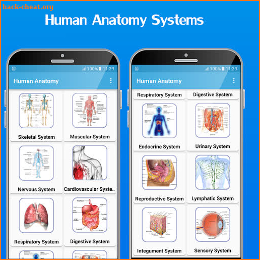 Atlas of Human Anatomy 2020 screenshot