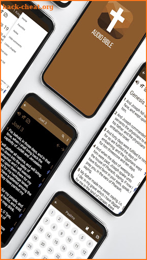 Audio Bible ASV in english screenshot