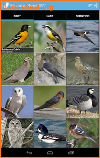 Audubon Birds of North America screenshot