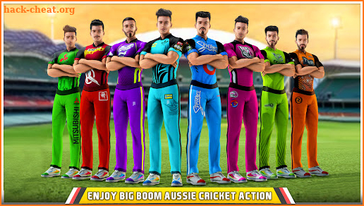 Aussie Cricket Championship screenshot