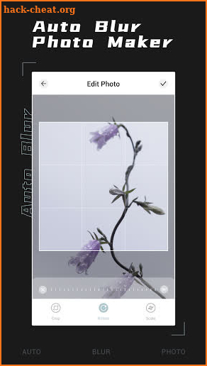 Auto Blur Photo Maker screenshot