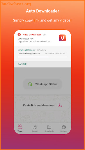 Auto Video Downloader screenshot