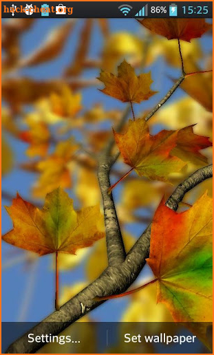 Autumn Leaves in HD Gyro 3D Parallax Wallpaper screenshot