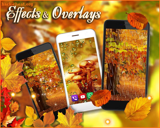 Autumn Theme Live Wallpaper screenshot