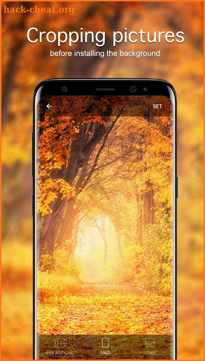 Autumn Wallpapers 4K screenshot