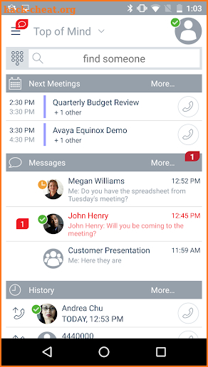 Avaya Equinox screenshot