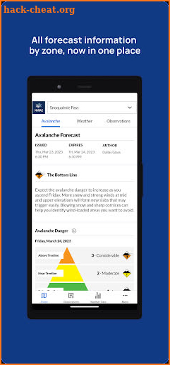 Avy: Avalanche & Weather Info screenshot
