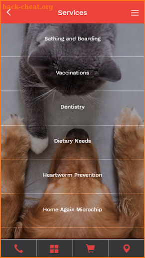 Babcock Hills Veterinary Hospital screenshot