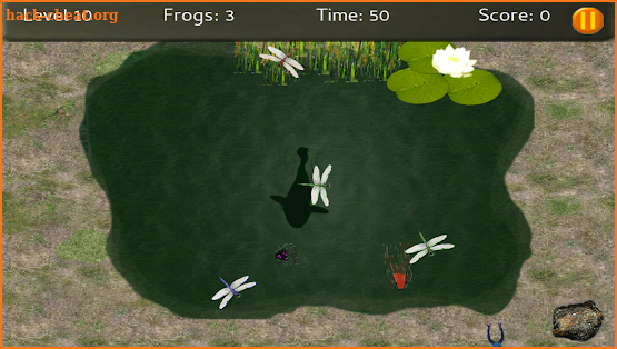 Baby Frogs - Frog Wrangling screenshot